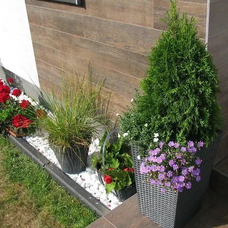 בית אירוח Aura